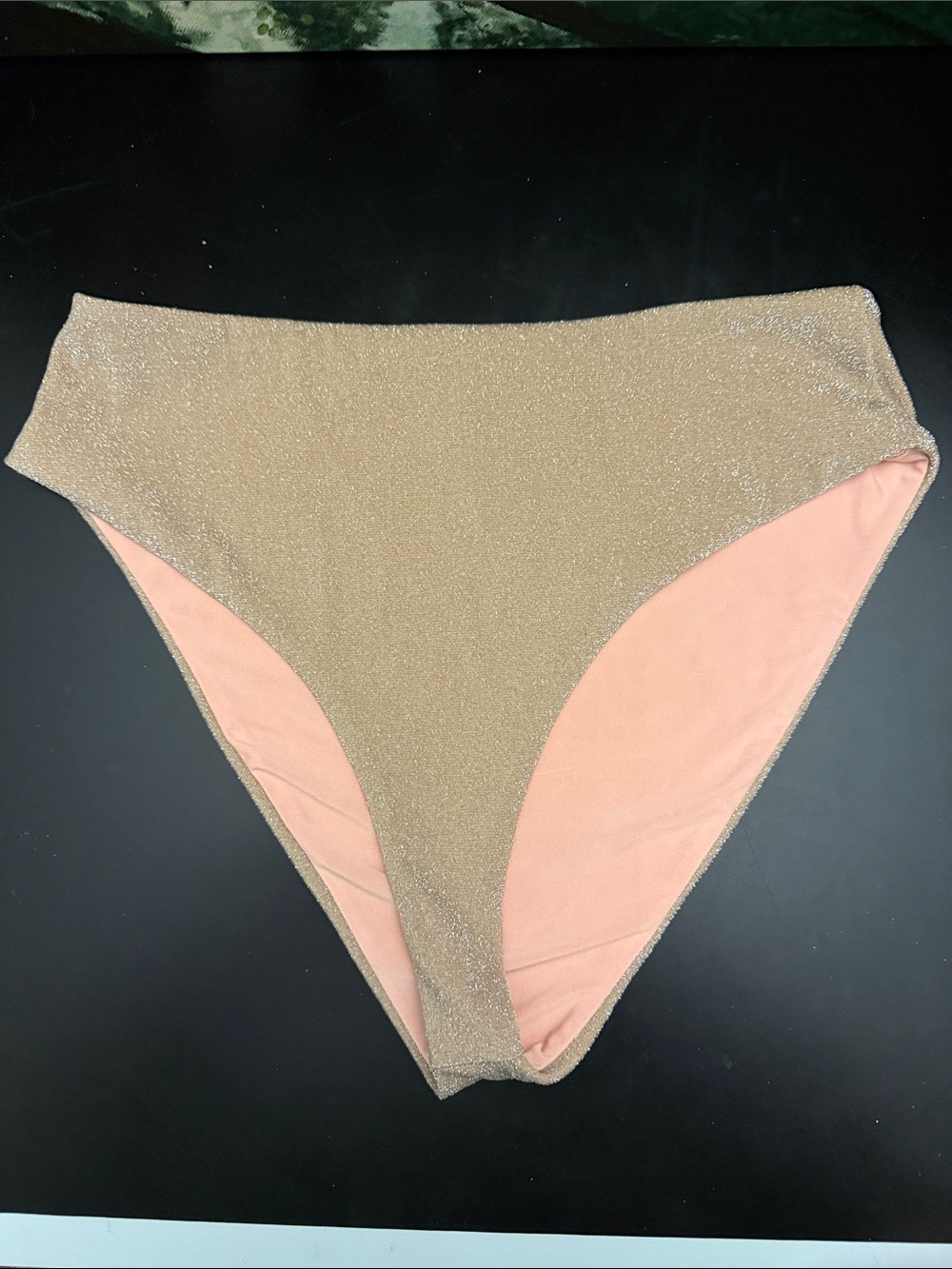 Beach Riot Bathing Suit Bottom